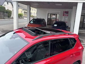 SEAT Ateca 2,0 FR 4WD TSI DSG *AHK, Panorama, Standheizung*