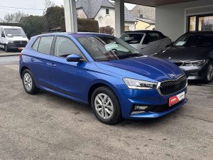 Skoda Fabia  Selection 1,0 TSI DSG *KESSY, NAVI, RÜ.Kam*