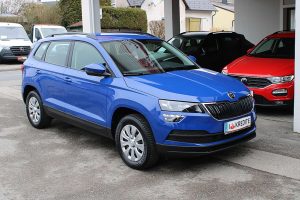 Skoda Karoq  1,0 TSI City *Sitzheizung, Parksensor, Smart Link*